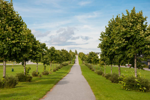 istock path in the suburbs of Naestved in Denmark 866743218