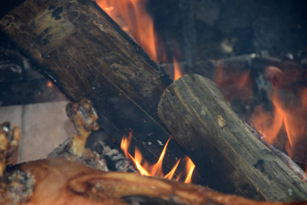 istock Logs, ash and flame in the fireplace 866748952