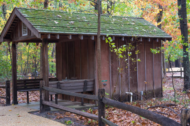 istock Cabin in the Woods 866749180