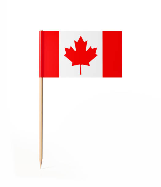 Tiny Cocktail Stick Canadian Flag Tiny cocktail stick flag of Canada. With clipping path. toothpick stock pictures, royalty-free photos & images