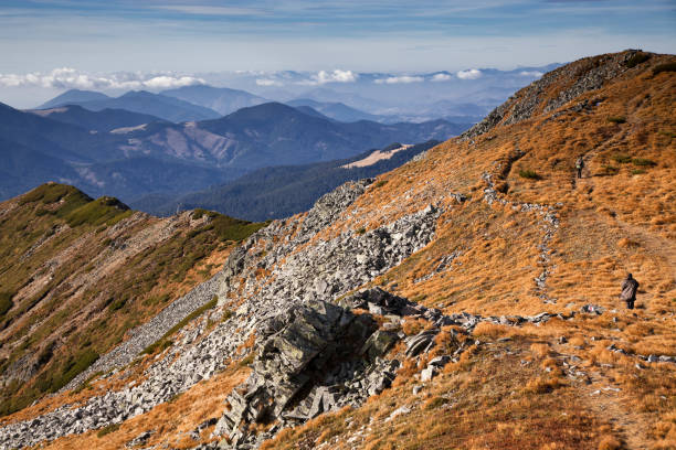 trekking dans les montagnes calimani, roumanie - romanian hay photos et images de collection