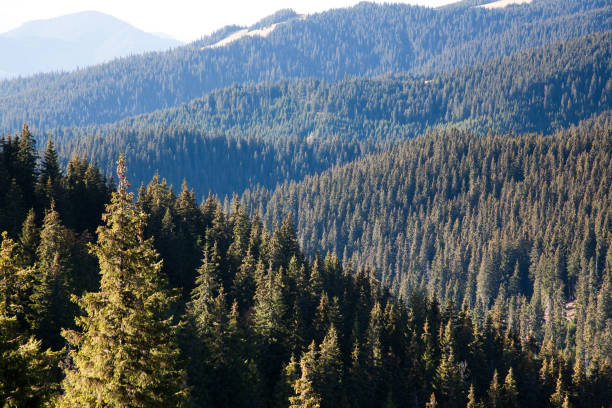 istock trekking in Calimani mountains, Romania 866757240