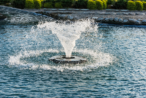 Water fountain in beautiful scenic botanical gardens