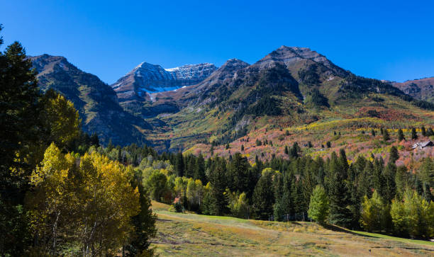 istock Fall Colors on Northern Utah Mountains 866764968