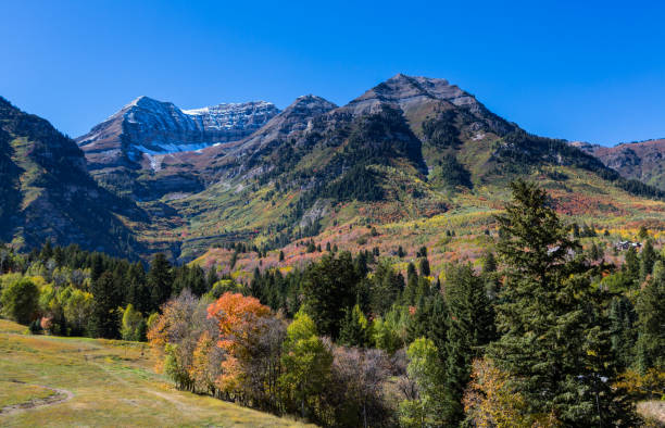 istock Fall Colors and Mountain in Northern Utah 866765456