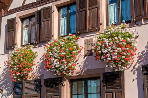 fiori sulla facciata di una tradizionale casa a graticcio nel villaggio di saint-hippolyte - haut-rhin, francia - st hippolyte foto e immagini stock