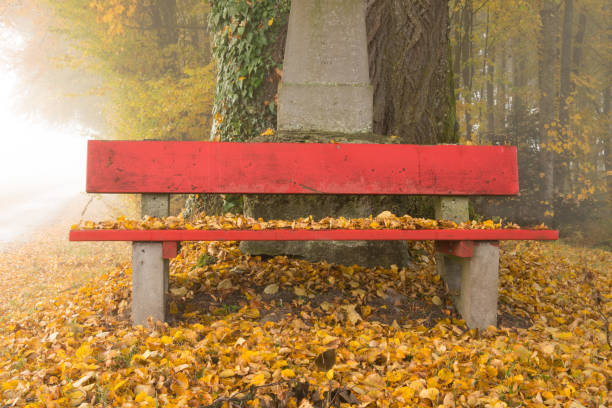 A red smartphone lies abandoned on a wooden park bench, symbolizing forgetfulness, distraction, or lost property in an outdoor public space.