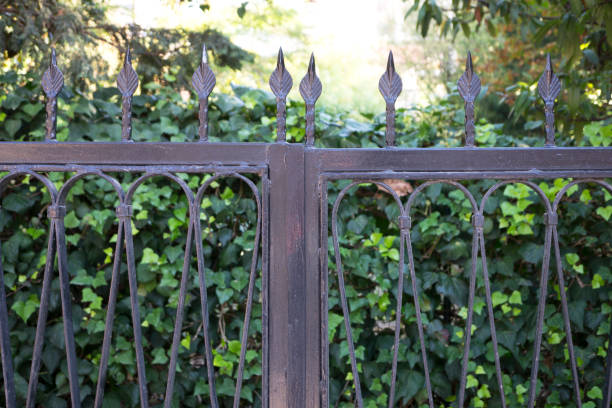 istock Wrought-iron fence and door close up 866771874
