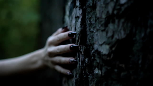 pale witch hand with sharp black nails is touching a trunk of old tree in a dark forest, close-up