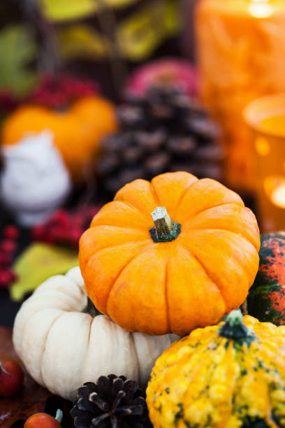 Autumnal colorful  pumpkins  on candles and fallen leaves Autumnal colorful  pumpkins  on candles and fallen leaves background, Halloween or Thanksgiving concept katt halloween stock pictures, royalty-free photos & images