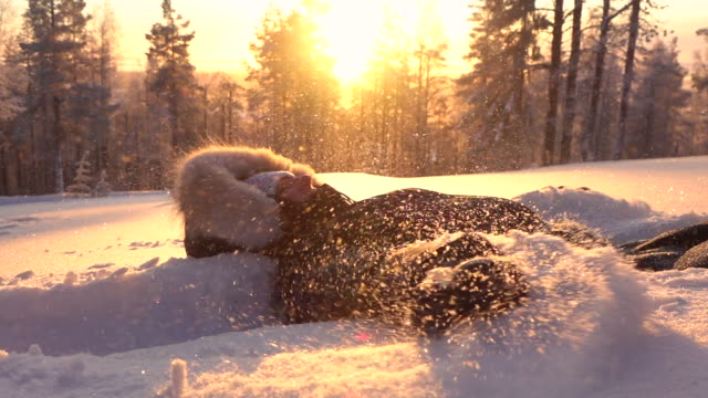 SLOW MOTION Playful girl making snow angels in fresh snow at golden light sunset