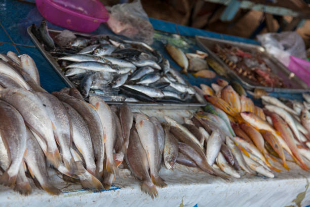 istock variouse fishes offered on week market 866789276