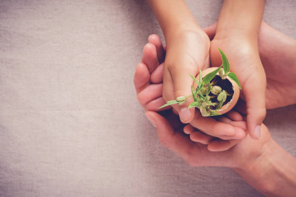 adulto y el niño las manos sosteniendo las plantas de semillero en cáscaras de huevo, eco jardinería, educación montessori, concepto de responsabilidad social rse corperate - growth new life seedling child fotografías e imágenes de stock