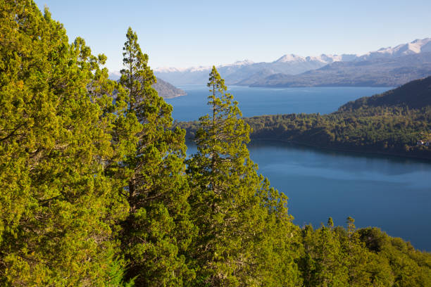 istock Lakes Nahuel Huapi and mountain Campanario 866804186