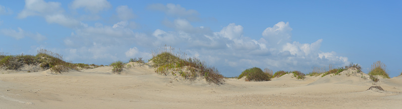 Dune panorama on the pea island national wildlife refuge shore in fall