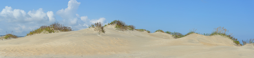 Dune panorama on the pea island national wildlife refuge shore in fall