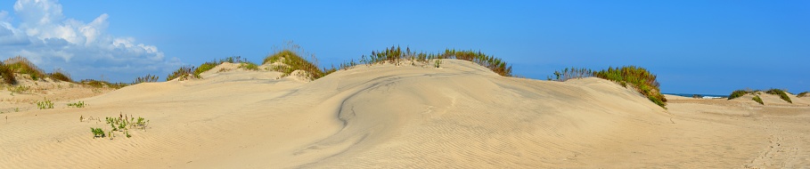 the wind has formed the sand into this wave pattern on island Juist, the beach grass is pushing against it and under the sand the hard can be seen