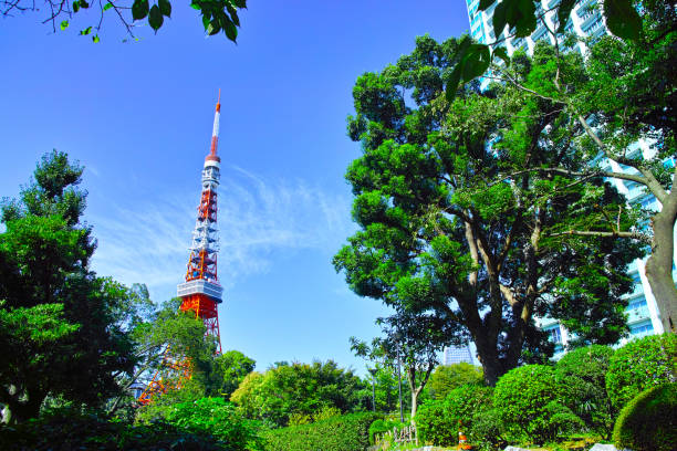 istock Scenery from Shiba Park 866810392