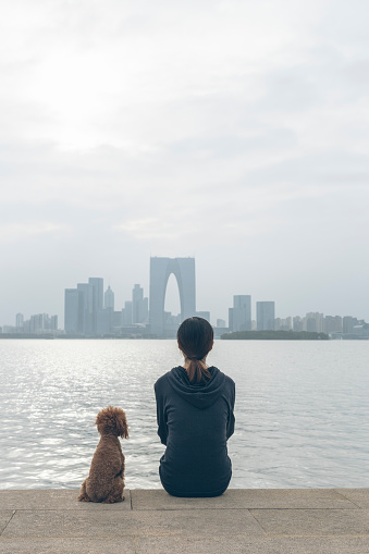 rear view of woman sitting at waterfront with her pet on side,suzhou,china.