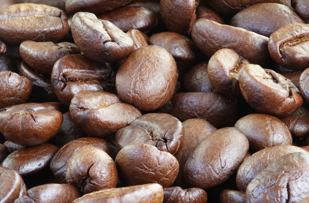 istock Many Coffee roasted Beans and powder 866825716