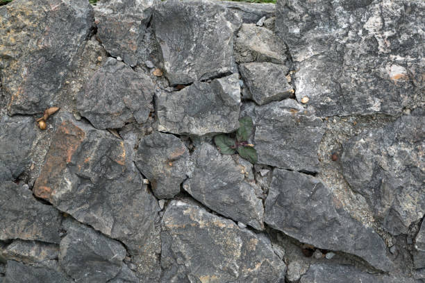 istock Abstract pebble gravel stone at the beach use for background ready for add text or graphic 866829814