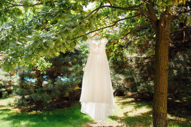 istock beige wedding dress hang on tree branch in garden 866852052