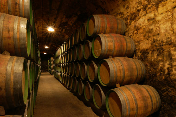 라리오하 와인 컨트리 - wine cellar basement wine bottle 뉴스 사진 이미지