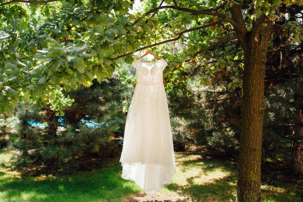 istock beige wedding dress hang on tree branch in garden 866852432