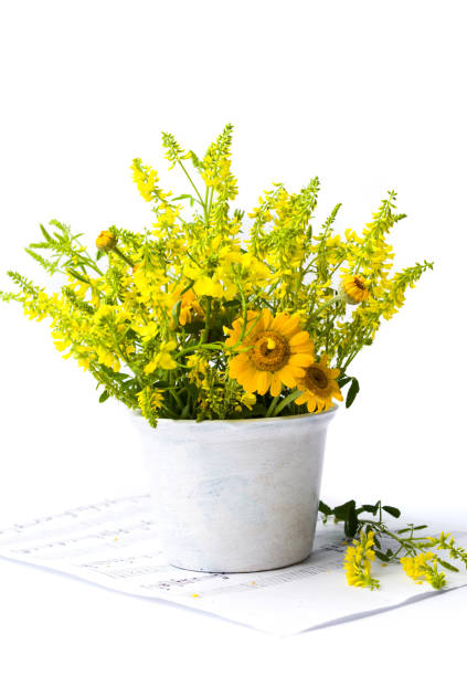 Yellow wildflowers arrangement on note sheet sample