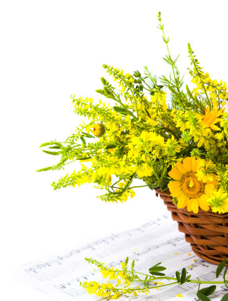 istock Yellow wildflowers arrangement on note sheet 866855994