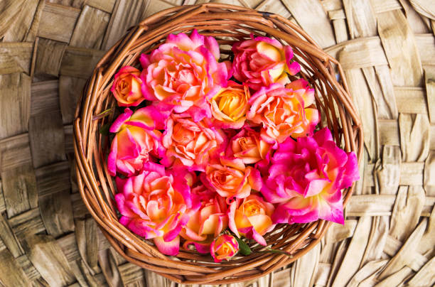 istock Wild roses in a wicker bowl 866856244