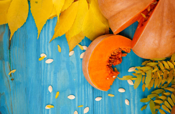 istock Big tasty autumn pumpkin with leaves on a blue background. Food concept. 866856482