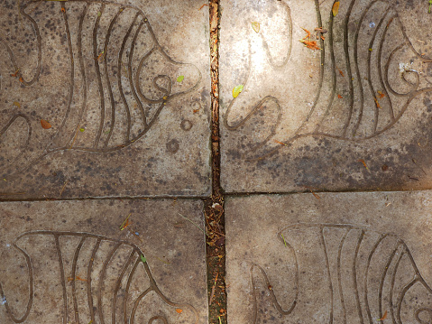 Angelfish Tile Pattern Angelfish Pattern Cement Tile Floor Close Up Under Sunlight Shade And ...