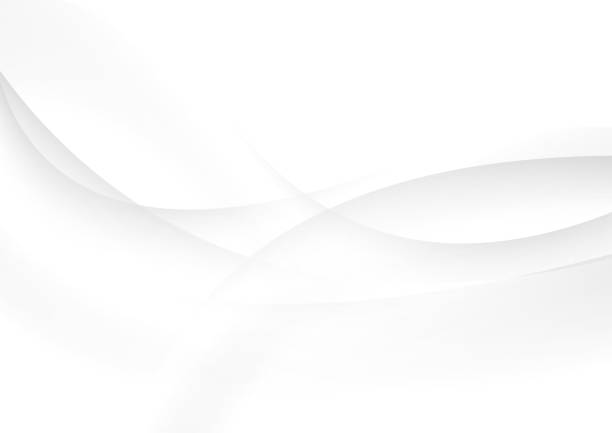 Abstract grey and white waves vector background Abstract grey and white elegant waves vector background white light abstract background stock illustrations