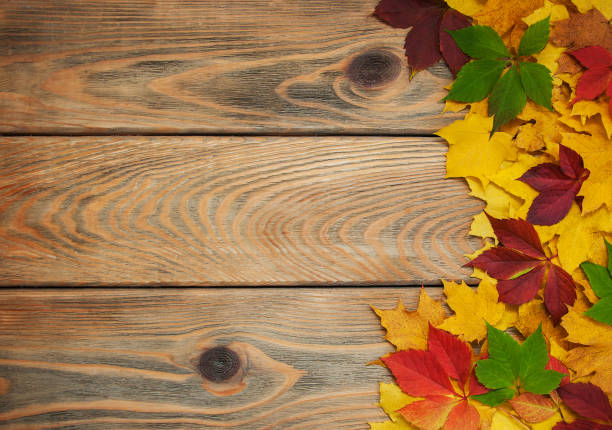 istock Autumn leaves on wooden table 866868042