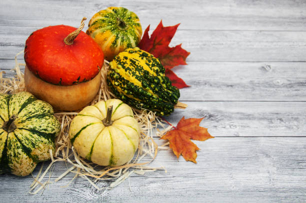 istock Pumpkins with autumn leaves 866868128