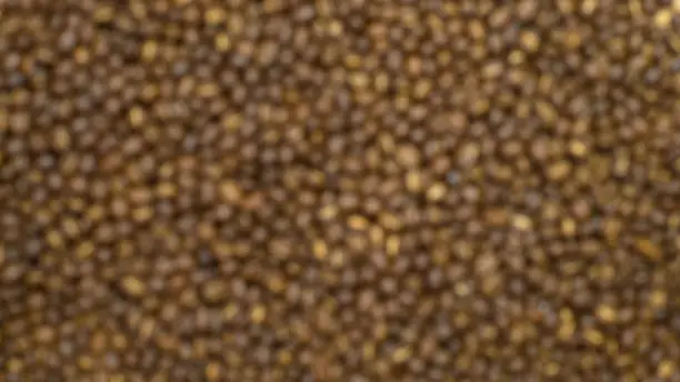 Photo of Abstract burry soft fucus shot, Medium dark Roasted peaberry coffee beans background.