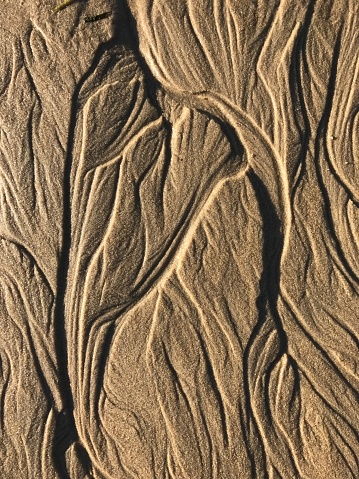 Ocean Rivulets Rivulets Making Patterns In Sand Stock Photo - Download Image Now ...