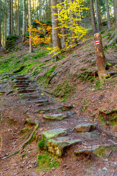 istock Stone staircase leading up in park 866875468