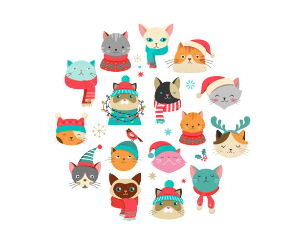 귀여운 고양이 캐릭터, 벡터 컬렉션와 메리 크리스마스 인사 - young animal characters clothing coat stock illustrations