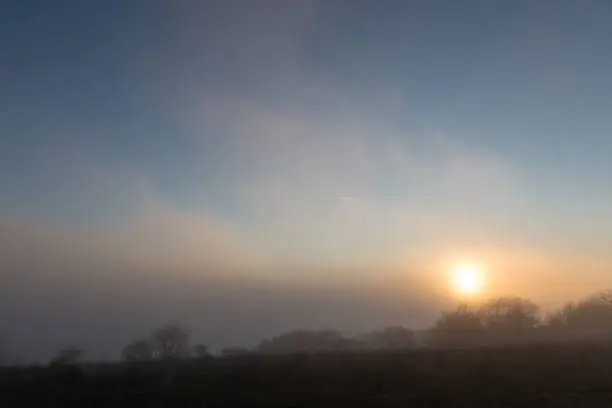 Photo of Low sun filtering through slightly above fog and mist, with some trees silhouettes