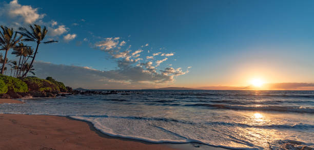 istock Gentle Surf near Palm Trees at Maui Beach 866886260