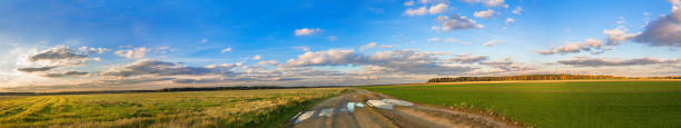 panorama paesaggistico autunnale rurale con strada, campo e cielo blu - country road lane road dirt road foto e immagini stock