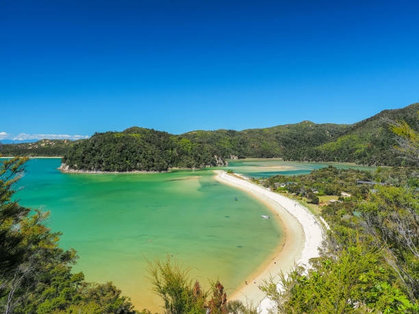 istock Torrent Bay, Abel Tasman National Park. (New Zealand) 866887774