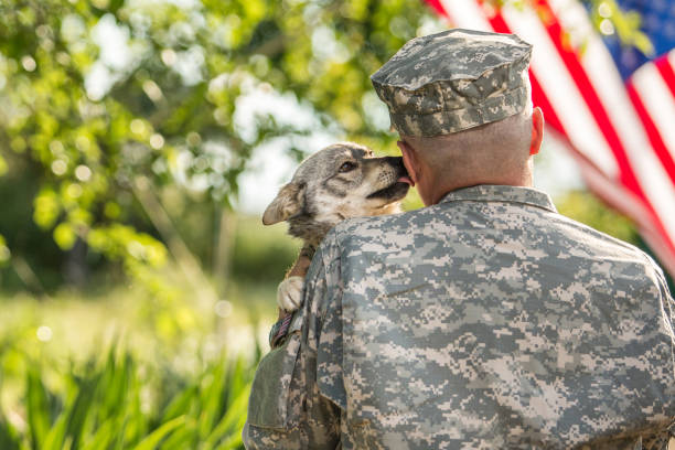 istock Soldier with his dog outdoors on a sunny day 866894938