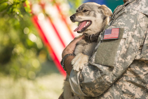 istock Soldier with his dog outdoors on a sunny day 866894940