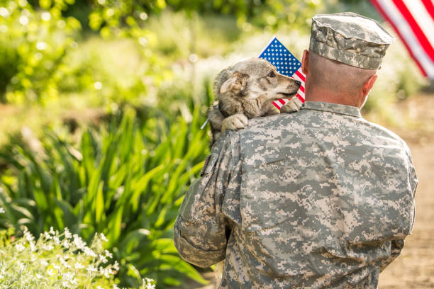 istock Soldier with his dog outdoors on a sunny day 866894944