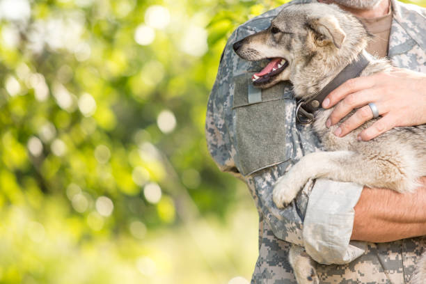 istock Soldier with his dog outdoors on a sunny day 866894976