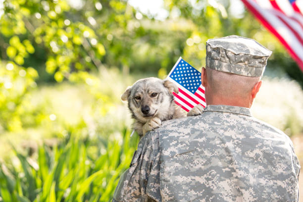 istock Soldier with his dog outdoors on a sunny day 866894986