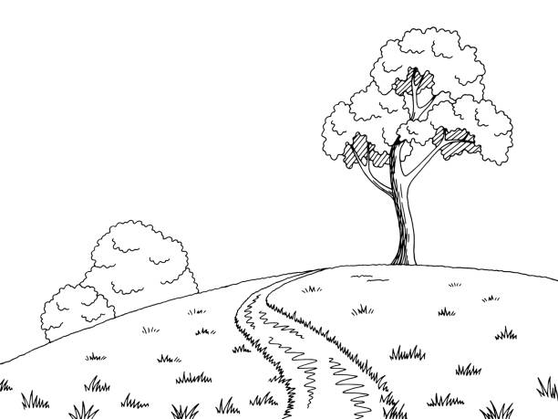Cartoon Of A Drawn Grass Illustrations, Royalty-Free Vector Graphics & Clip  Art - iStock